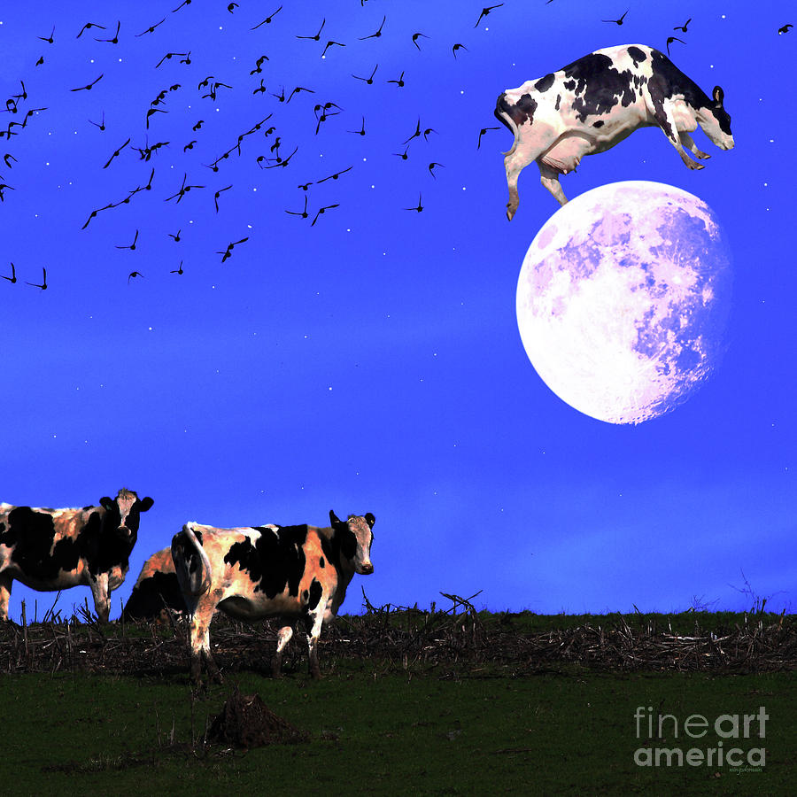 The Cow Jumped Over The Moon square Photograph by Wingsdomain Art and Photography