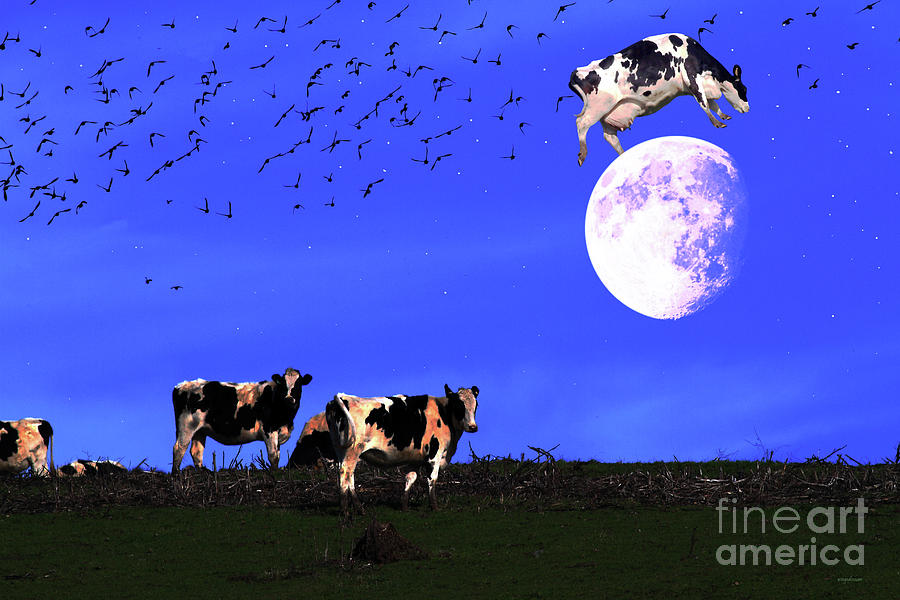 Cow Photograph - The Cow Jumped Over The Moon by Wingsdomain Art and Photography