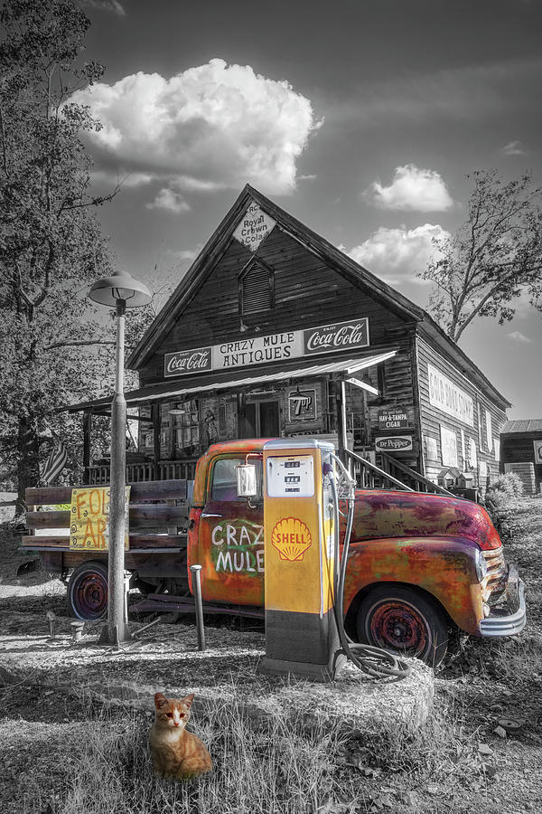The Crazy Mule Antiques II Black and White Yellow and Red Photograph by Debra and Dave Vanderlaan