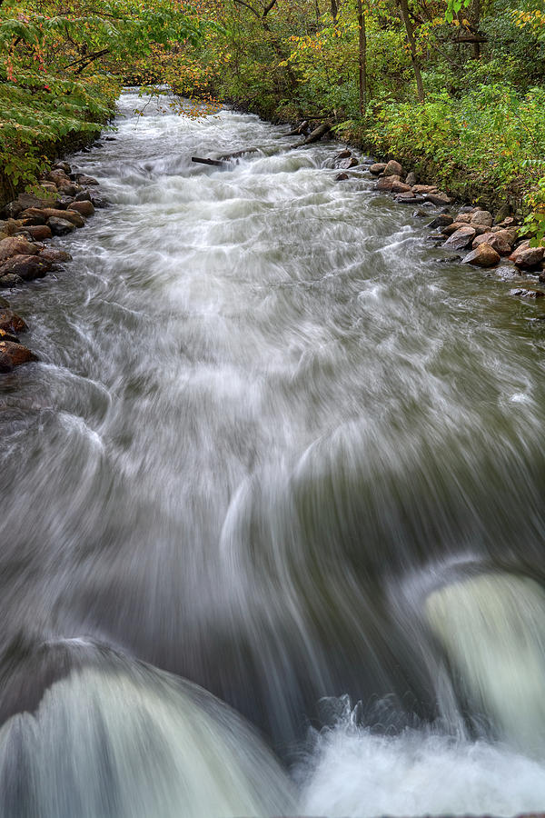 The creek Photograph by Paul Freidlund