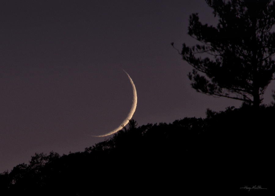 The Crescent Moon Photograph by Harry Moulton