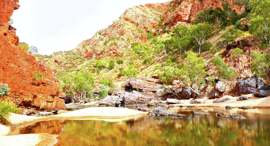 The Crossing - Ormiston Gorge Photograph by Lexa Harpell