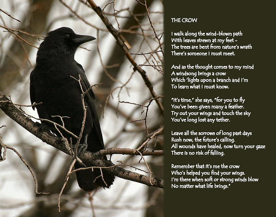 The Crow - poem Photograph by Doris Potter