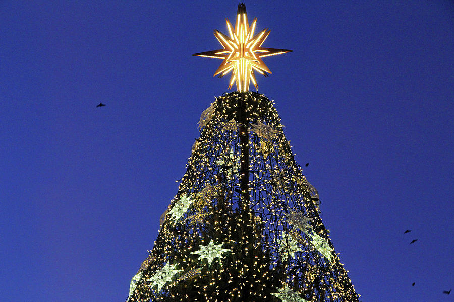 The Crowning Top Of The 2019 National Christmas Tree Photograph