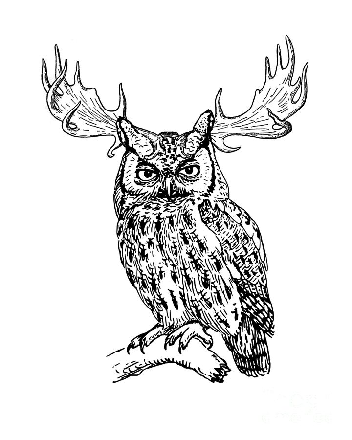 The Curious Owl Digital Art by Madame Memento - Pixels