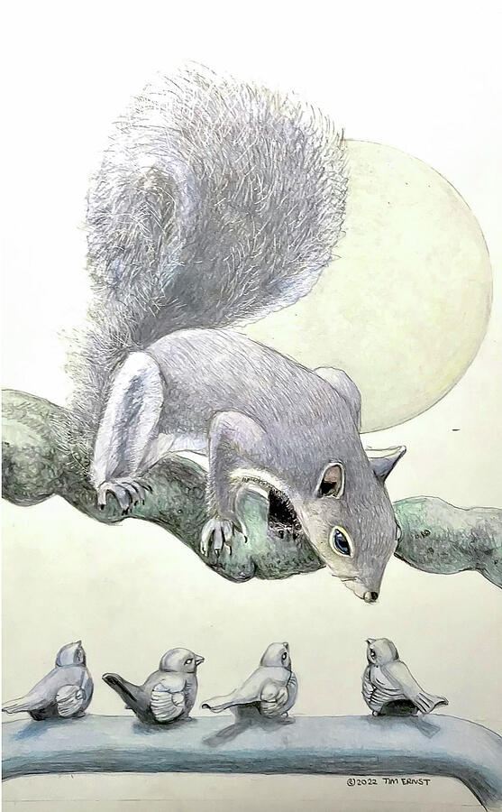 The Curious Squirrel Drawing by Tim Ernst