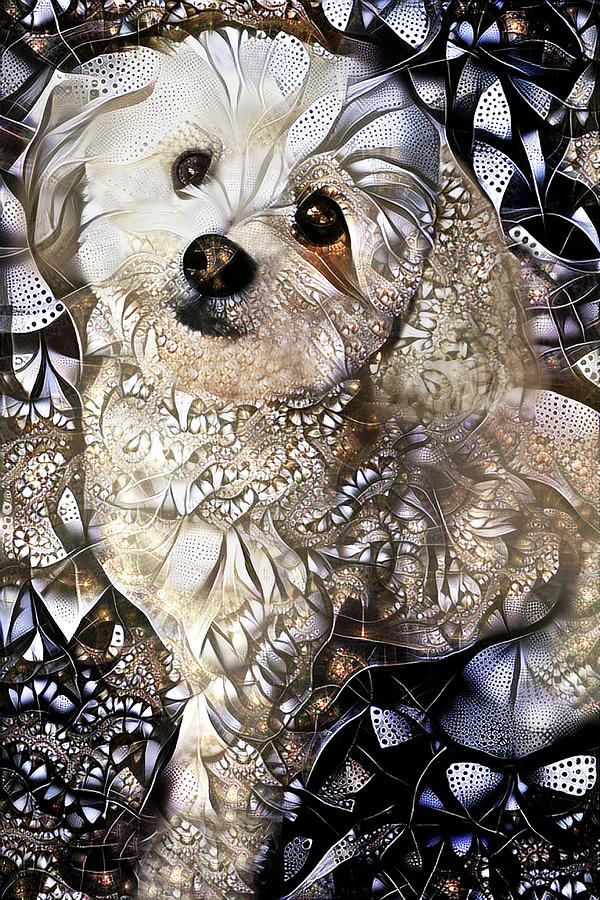 The Cutest Puppy Ever Digital Art by Peggy Collins