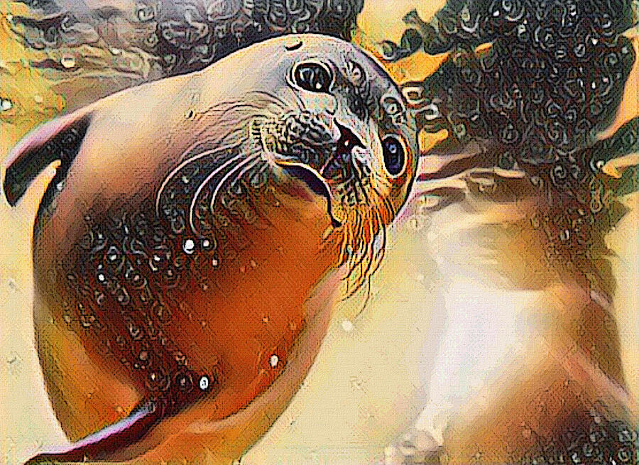 The Cutest Seal Wildlife Art   Digital Art by Shelli Fitzpatrick