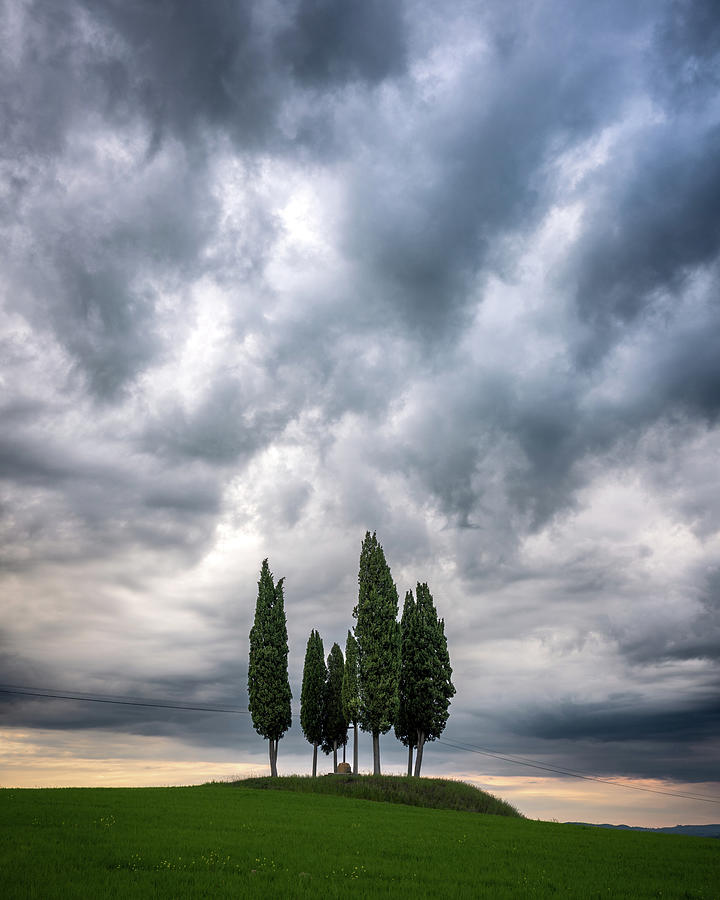 The Cypresses of Tuscany Photograph by Ewa Jermakowicz
