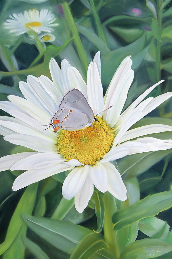 The Daisy and the Butterfly Painting by Nila Jane Autry