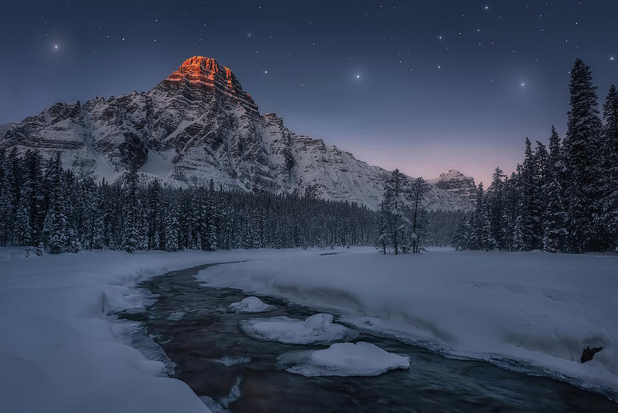The  Dawn of Mt. Chephren in Beautiful Winter Photograph by Celia Zhen