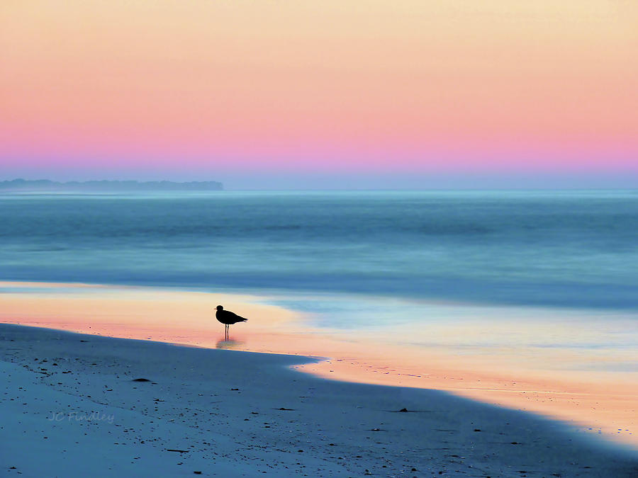 Beach Photograph - The Day Begins by JC Findley