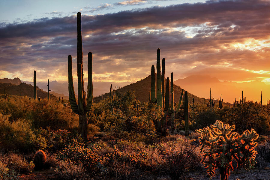 The Desert Glows At Dawn Photograph by Saija Lehtonen - Pixels