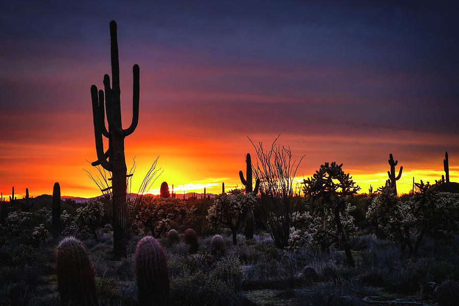 The Desert Has Colors Photograph by Saija Lehtonen - Fine Art America