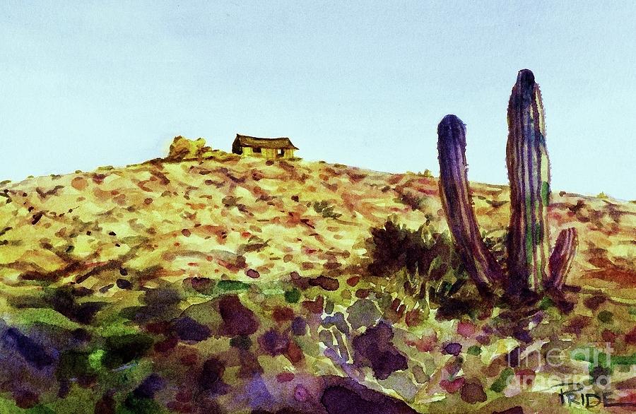Nature Painting - The Desert Place by Cynthia Pride