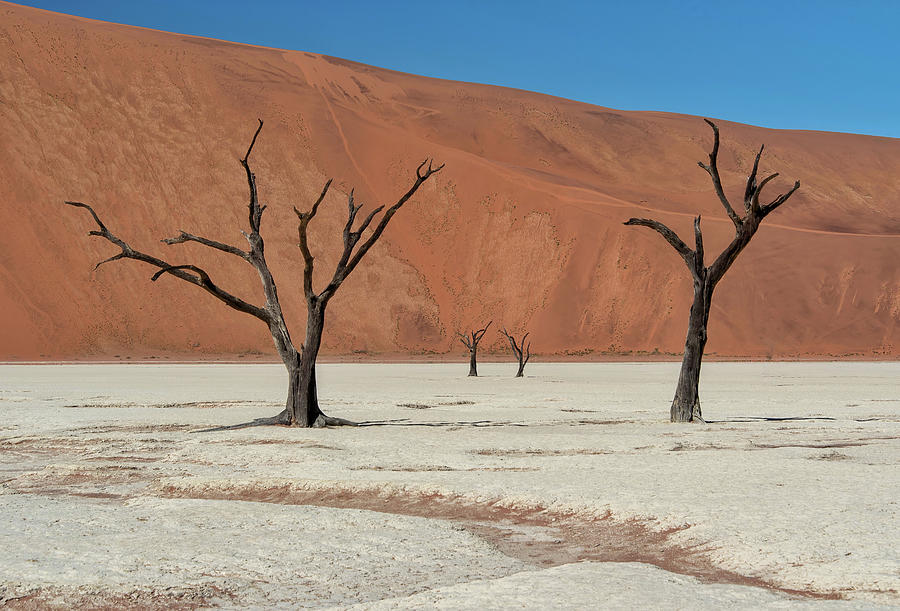 The Desert Portal Photograph by Rand Ningali