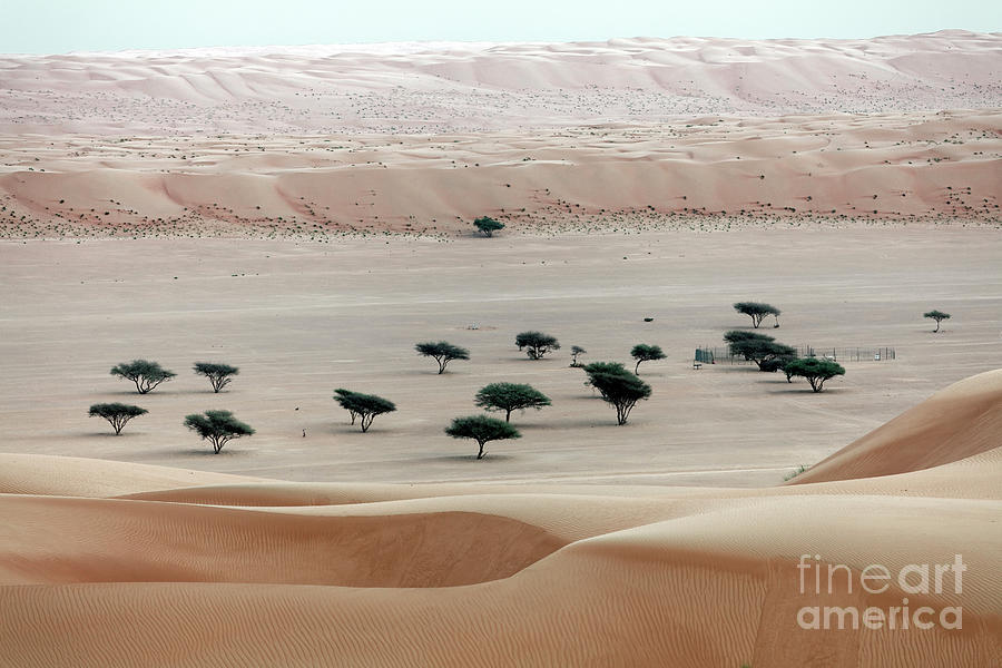 The Desert Wahiba Sands - Oman Photograph by Norbert Probst