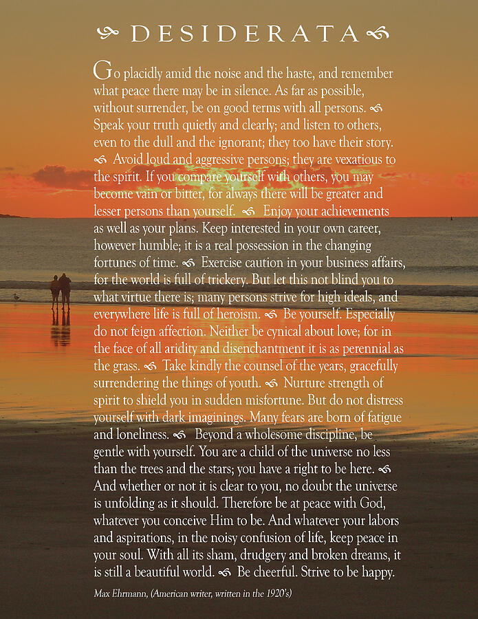 The Desiderata  Photograph by Nancy Griswold