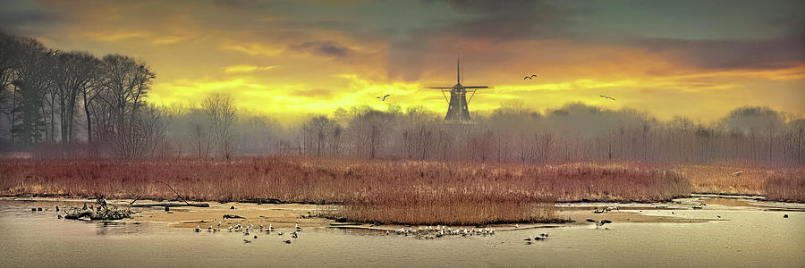 The De Zwaan Dutch Windmill In An Early Morning Sunrise Photograph