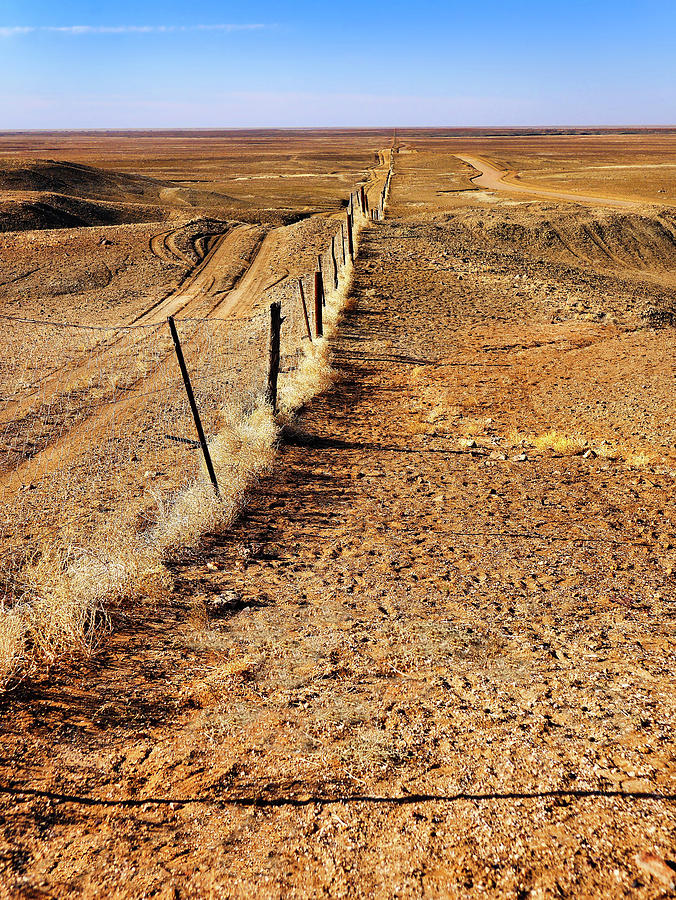 The Dingo Fence 2 - Outback Australia Photograph by Lexa Harpell