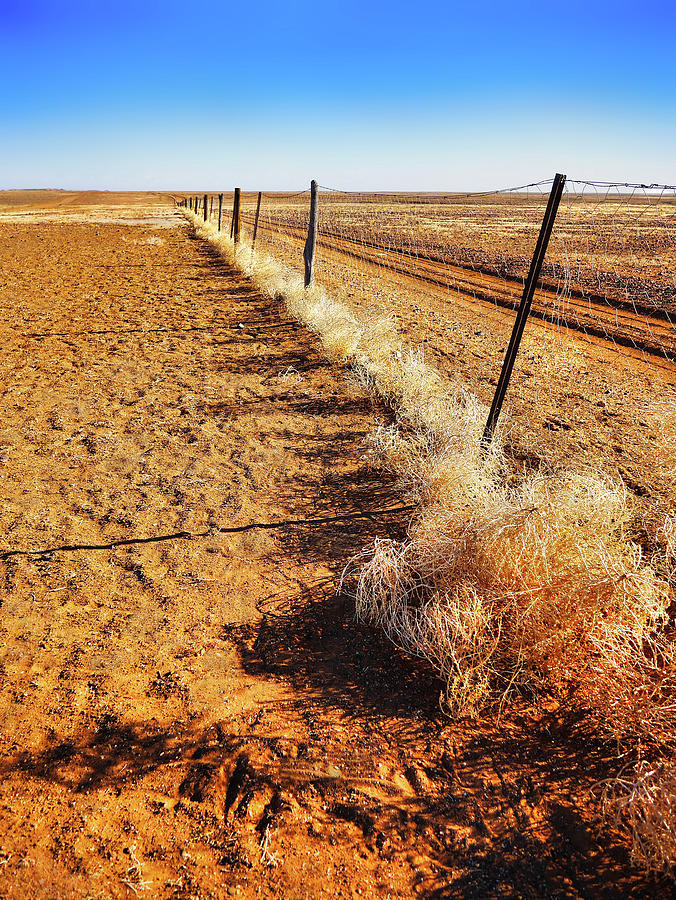 The Dingo Fence 3 - Outback Australia Photograph by Lexa Harpell