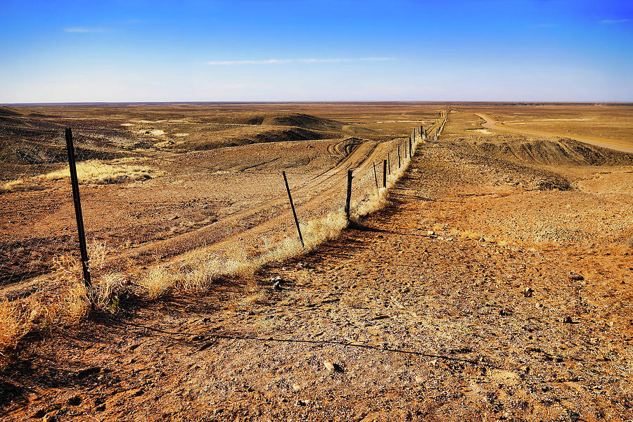 The Dingo Fence - Outback Australia Photograph by Lexa Harpell