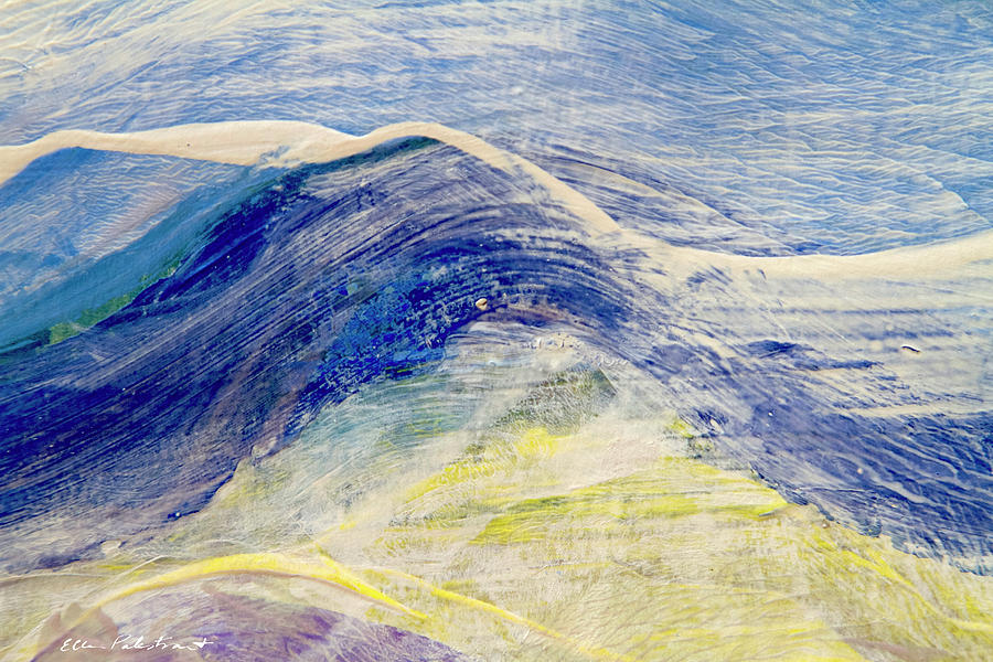 The Distant Blue Mountains  Painting by Ellen Palestrant