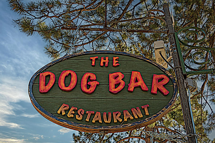 The Dog Bar Cuchara Colorado Photograph by Debra Martz