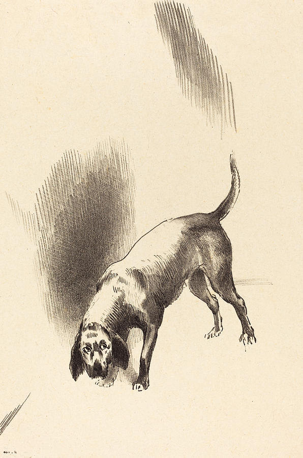 The Dog Drawing by Odilon Redon