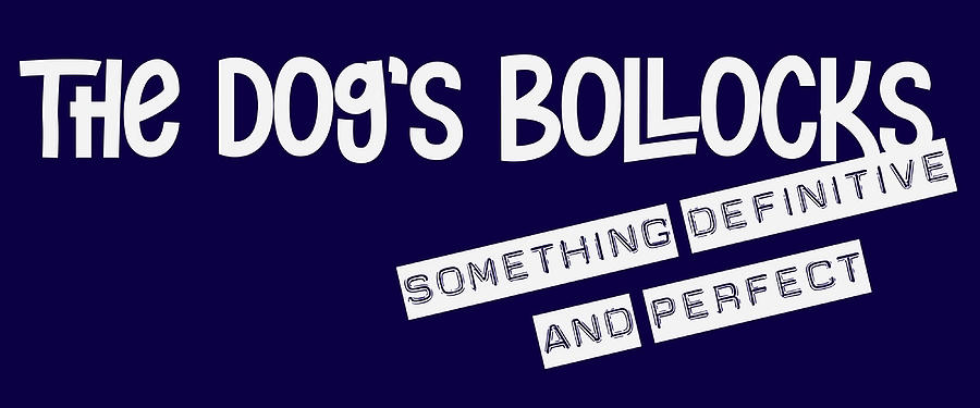 dog bollocks punctuation mark declaration of independence