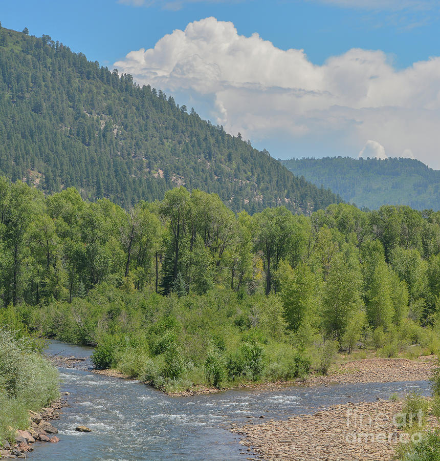4 The Dolores River winding through the San Juan National Forest