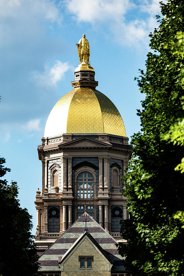 The Dome of Notre Dame Photograph by John Vial | Fine Art America