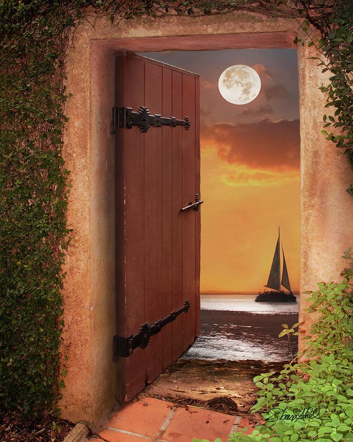The Door Photograph by Shara Abel