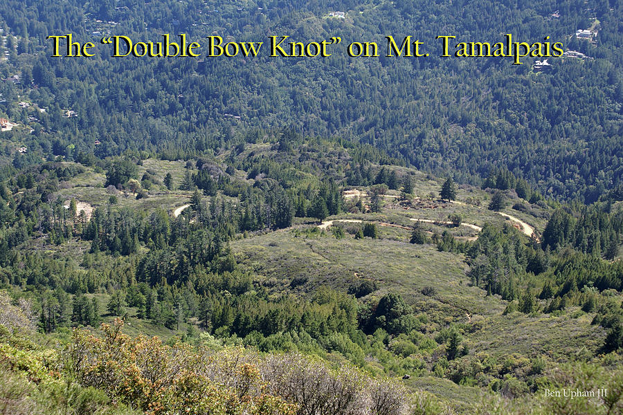 The Double Bow Knot on Mt. Tamalpais Photograph by Ben Upham III
