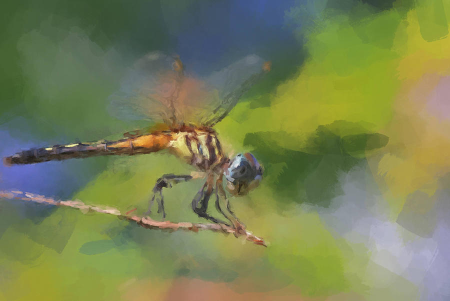 The Dragon Fly Painting by Gary Arnold