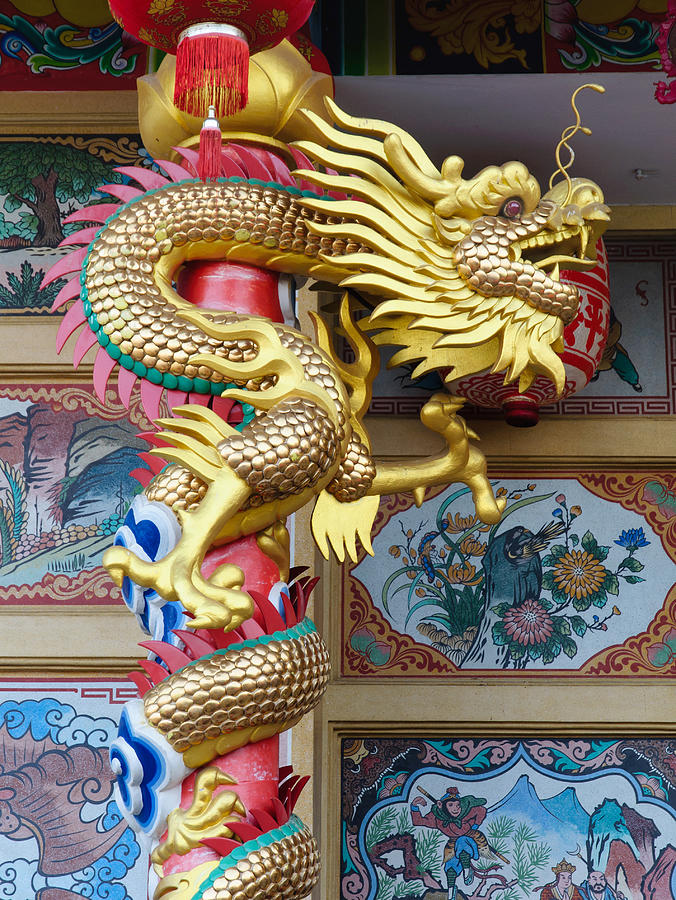 The Dragon on the pillar Photograph by Foto_by_M