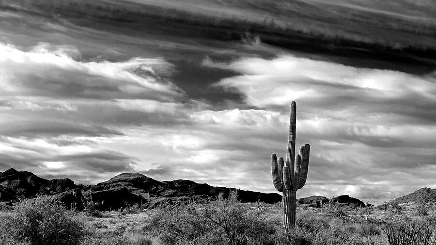 Black And White Photograph - The Dramatic Desert by Sue Cullumber