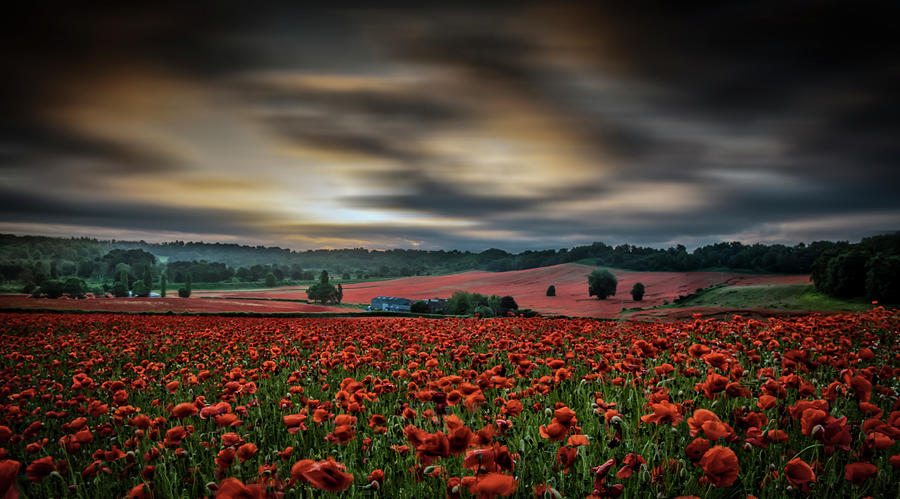 The dramatic red valley Photograph by Remigiusz MARCZAK