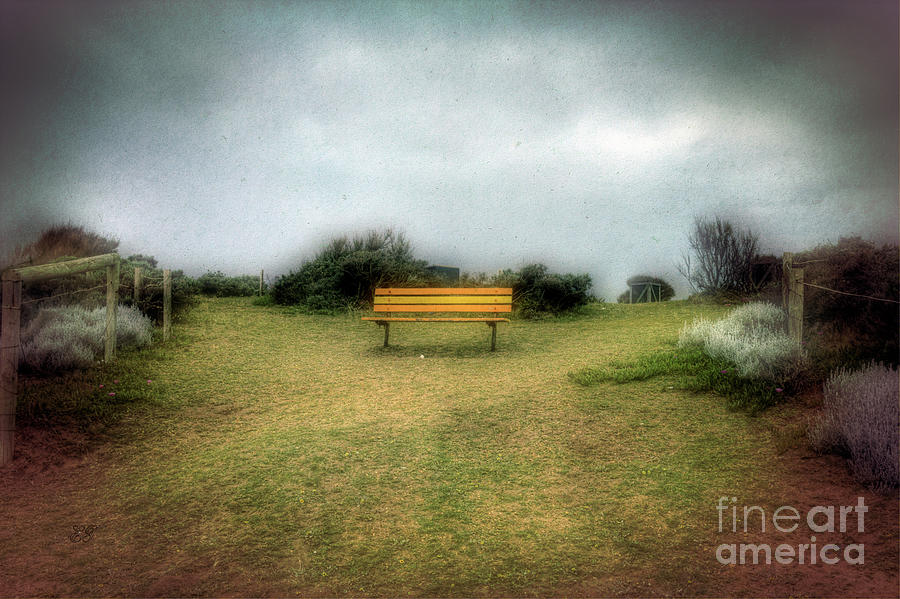 The Dreaming Bench Photograph by Elaine Teague
