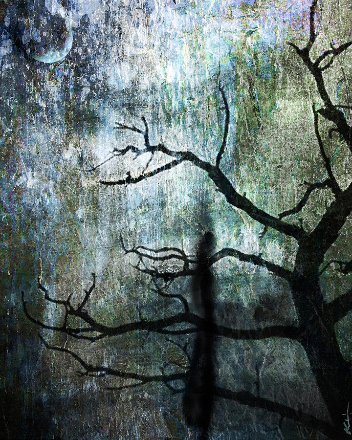 The Dreaming Tree Digital Art by Ken Walker