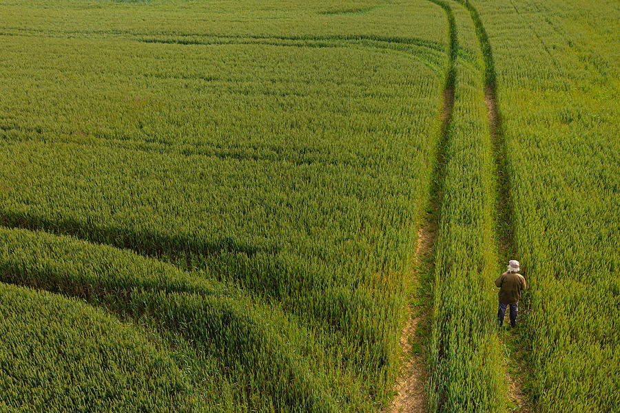 The drone view of a senior man standing in a field Photograph by JohnFScott