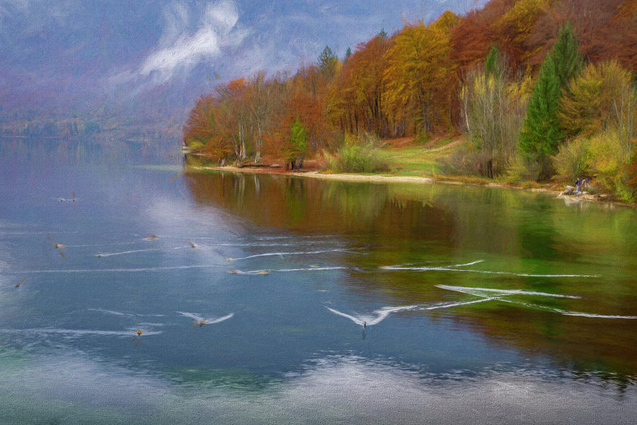 The Ducks of Lake Bohinj Photograph by Lindsay Thomson