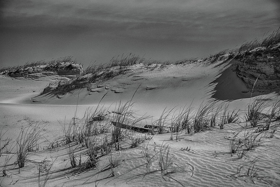 The Dunes at Island Beach State Park Photograph by Alan Goldberg