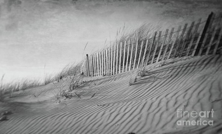 The Dunes In Black and White Photograph by Karen Silvestri