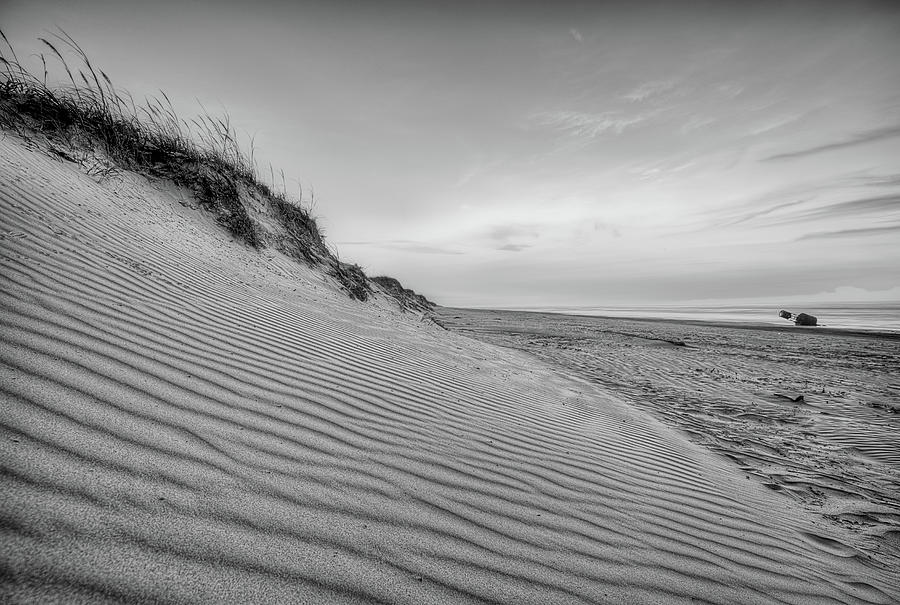 The Dunes of Padre Island Black and White Photograph by JC Findley