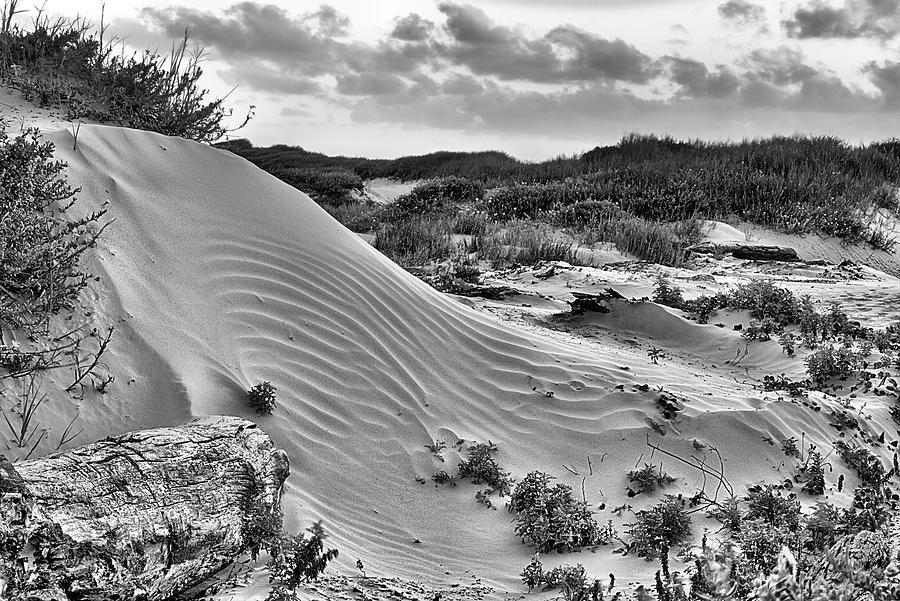 Houston Photograph - The Dunes of San Luis Pass Black and White by JC Findley