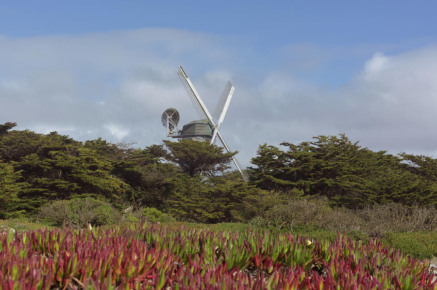 The Dutch Windmill In San Franciscos Golden Gate Park Photograph by Dan Twomey