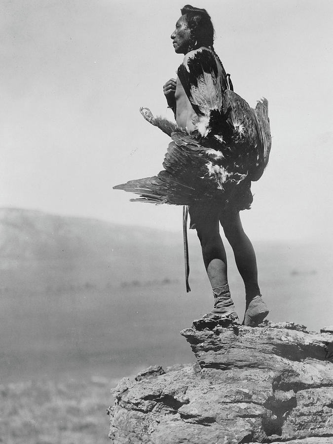 The eagle catcher Photograph by Edward Curtis