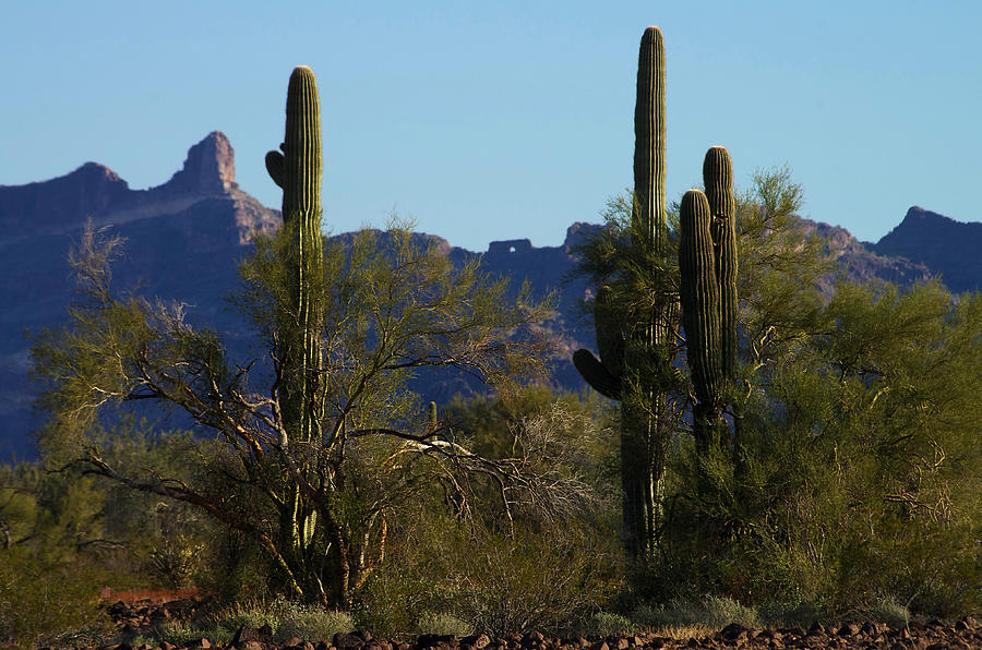 Arizona Photograph - The Eagles Eye by Allan Erickson Arizona Photograph - The Eagles Eye by Allan Erickson
