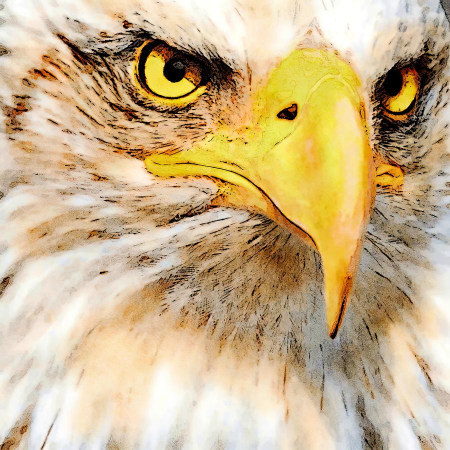 The Eagle's Eye Painting by Russ Harris - Fine Art America